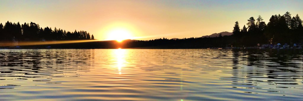 MichelleCalkins's profile banner image