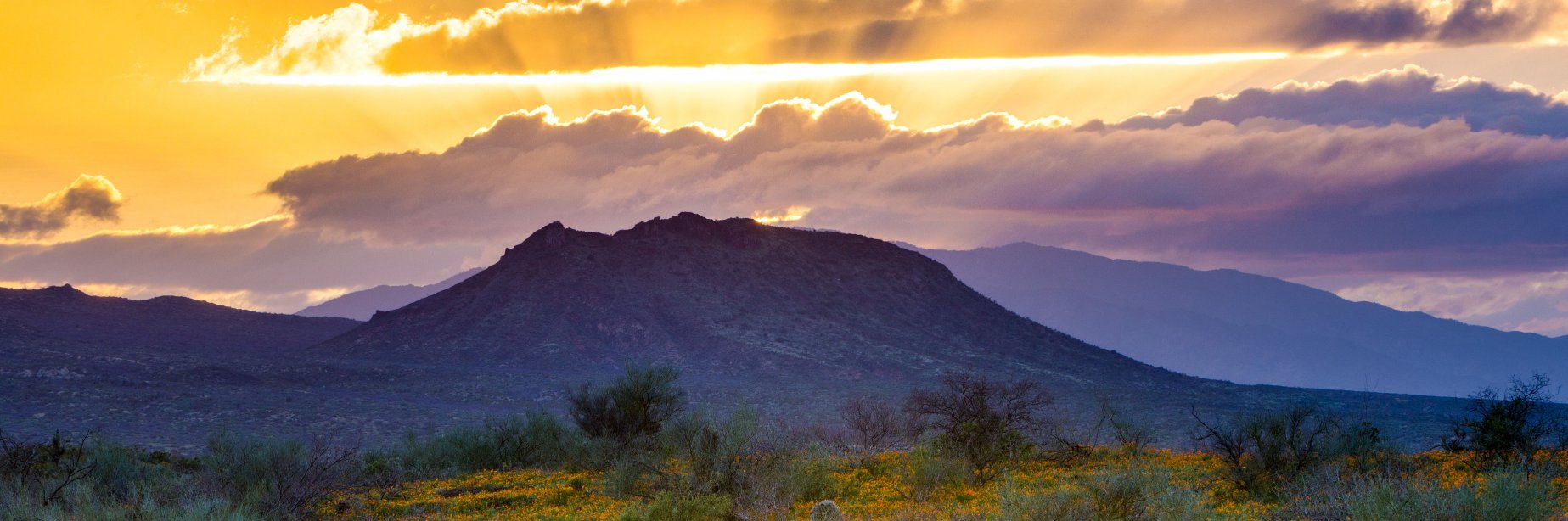 San Carlos Apache College banner