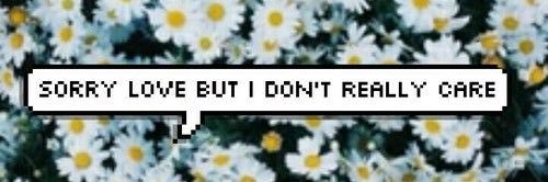 LuluuCthulhu's profile banner image