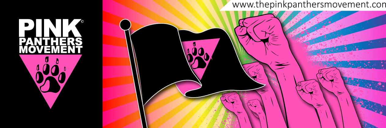 The Pink Panthers banner