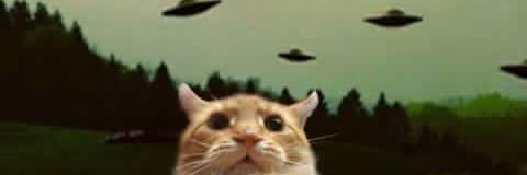 NatalyWoo's profile banner image