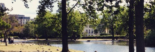 a_berteloot's profile banner image