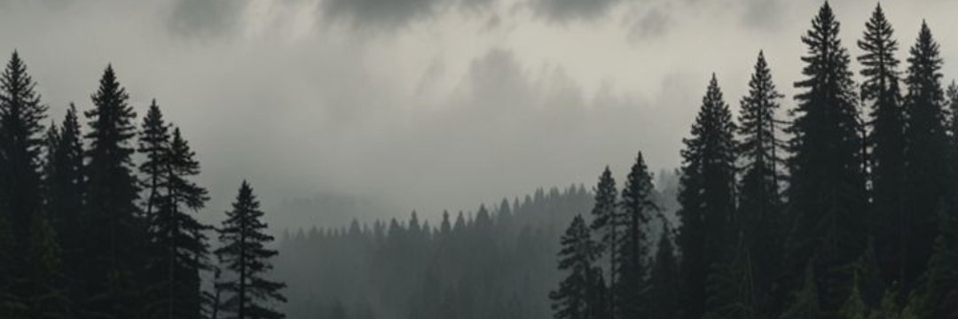 Adar banner