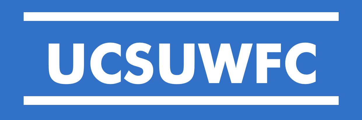 WSIHE Womens Football banner