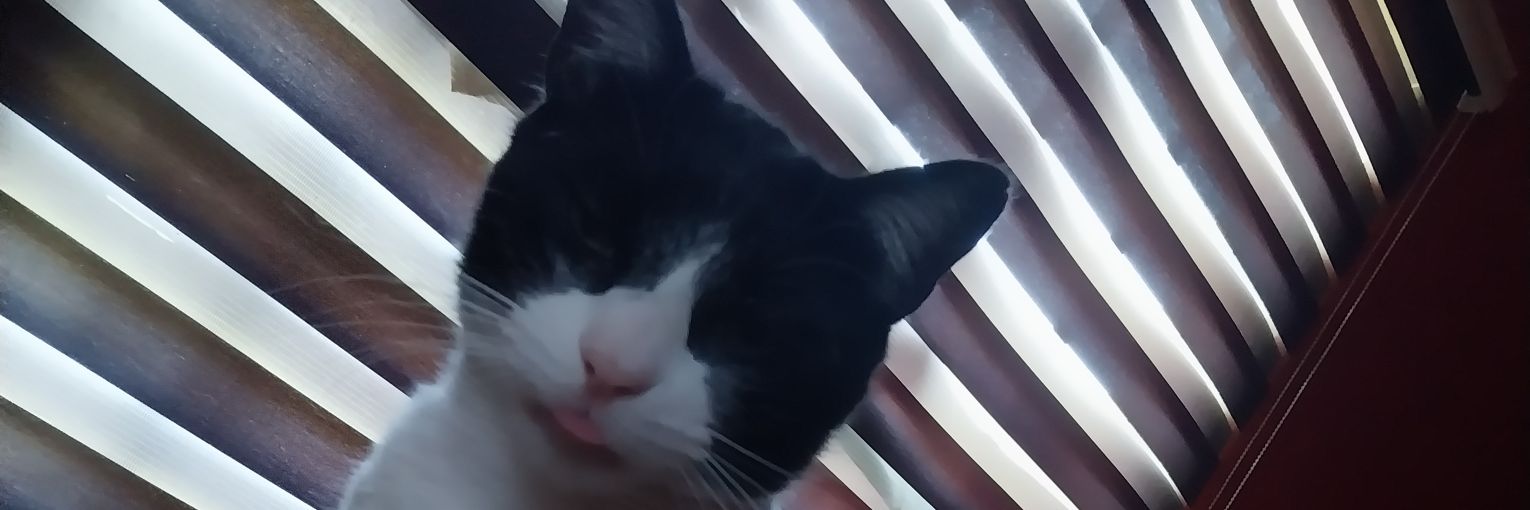 NATII_dread's profile banner image