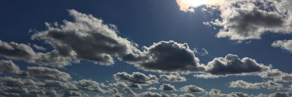 DECAKnightsLibrary banner