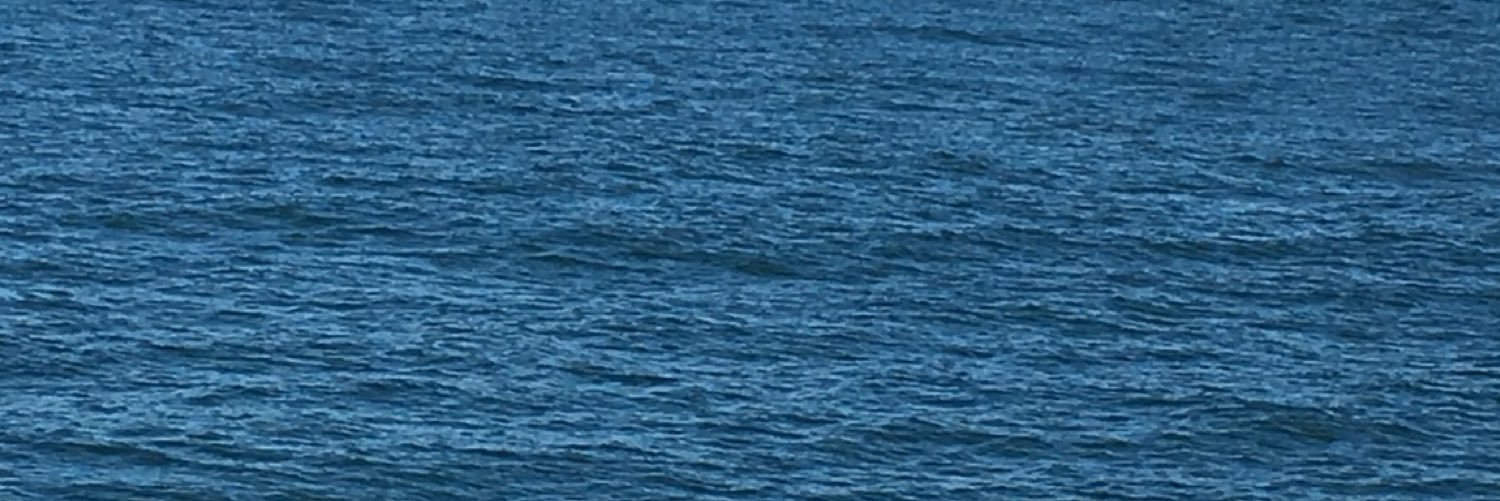 Rocktim banner