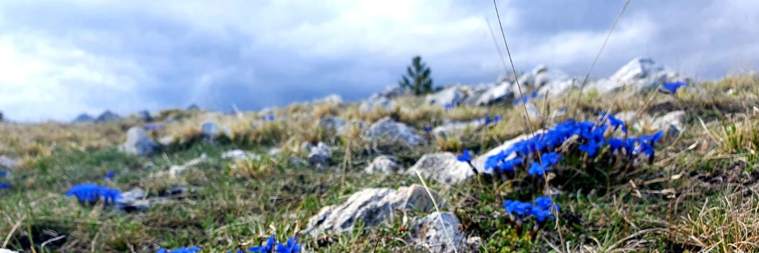 VivanaBA's profile banner image