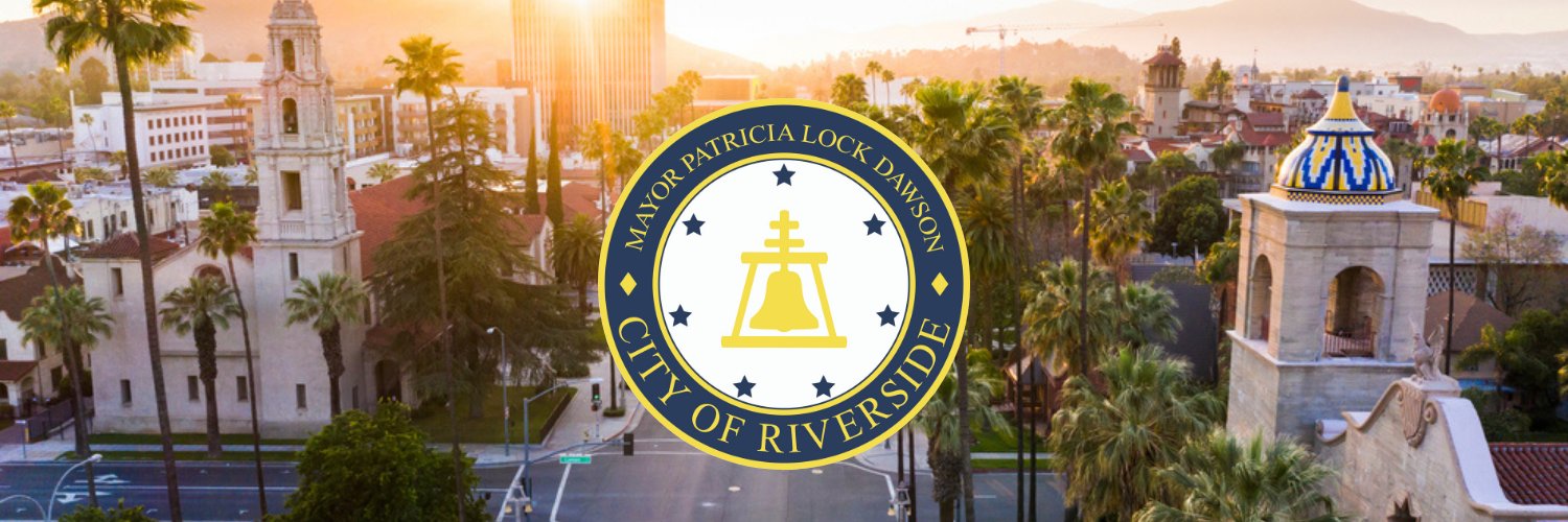 Mayor Patricia Lock Dawson banner