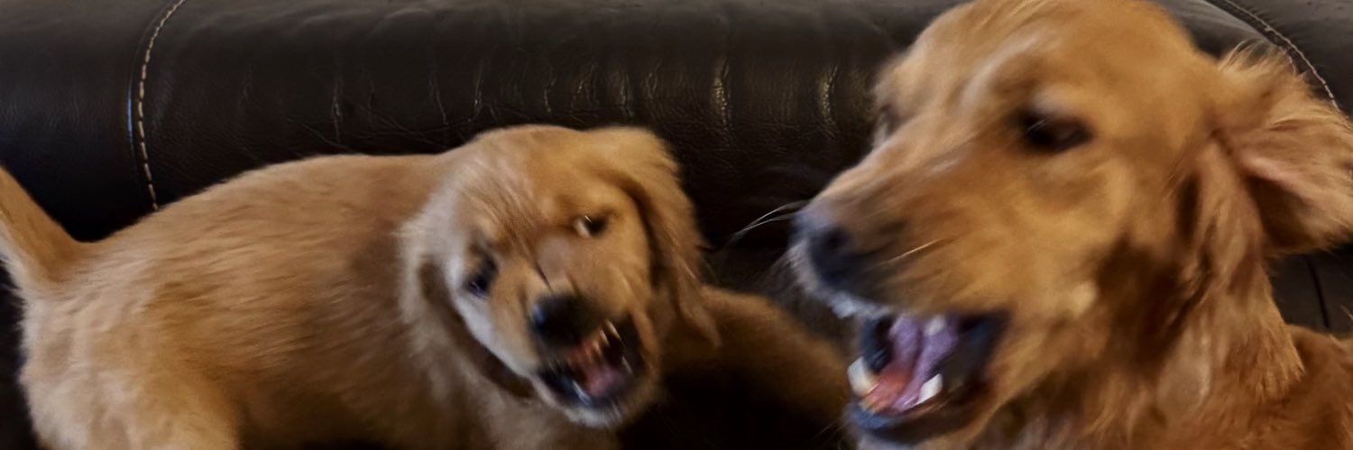 colsonthemoon's profile banner image