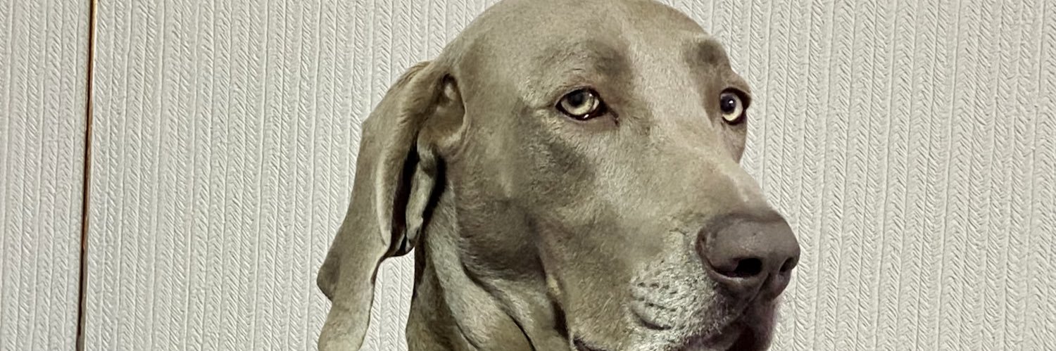 Angee_Bianchi's profile banner image