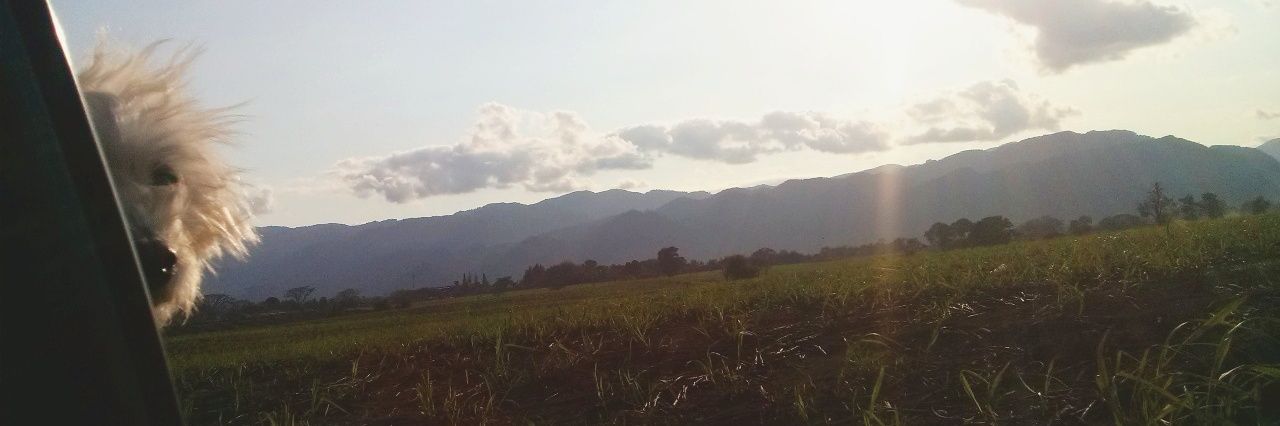 MiryIsa04's profile banner image
