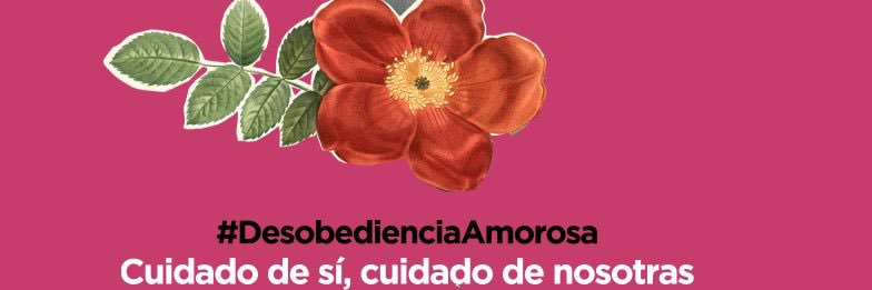 Flor Dessire banner