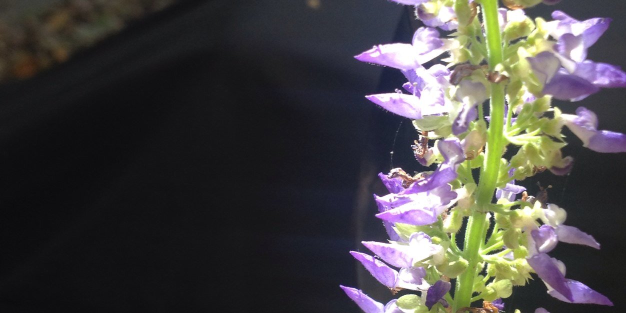 FistfulORobots's profile banner image