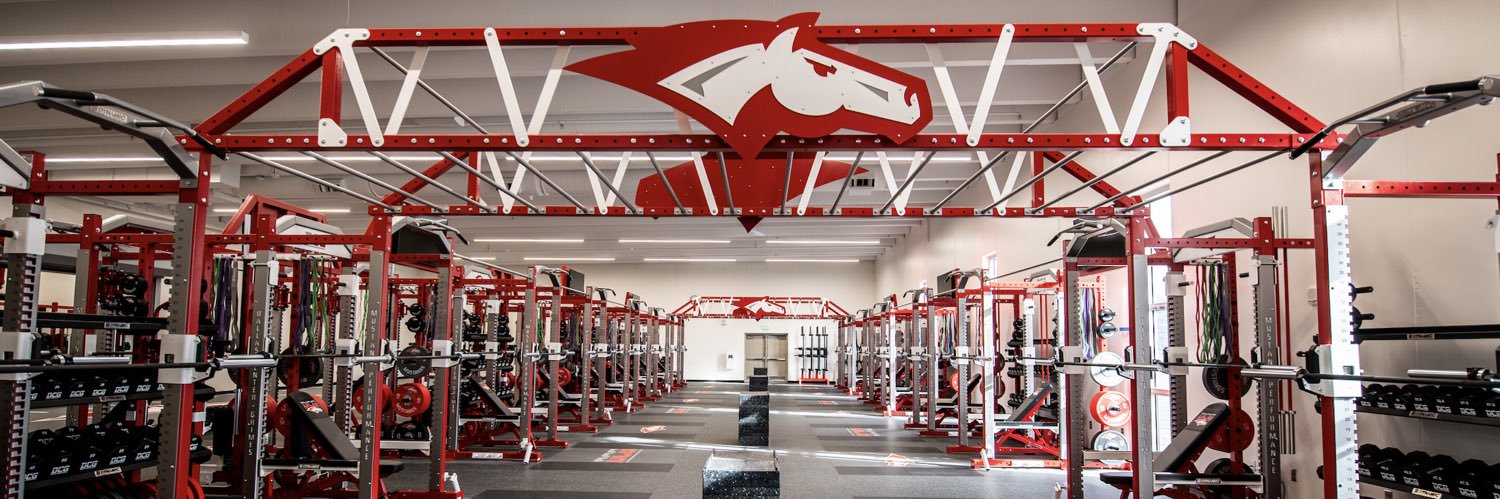 Mustang Performance banner