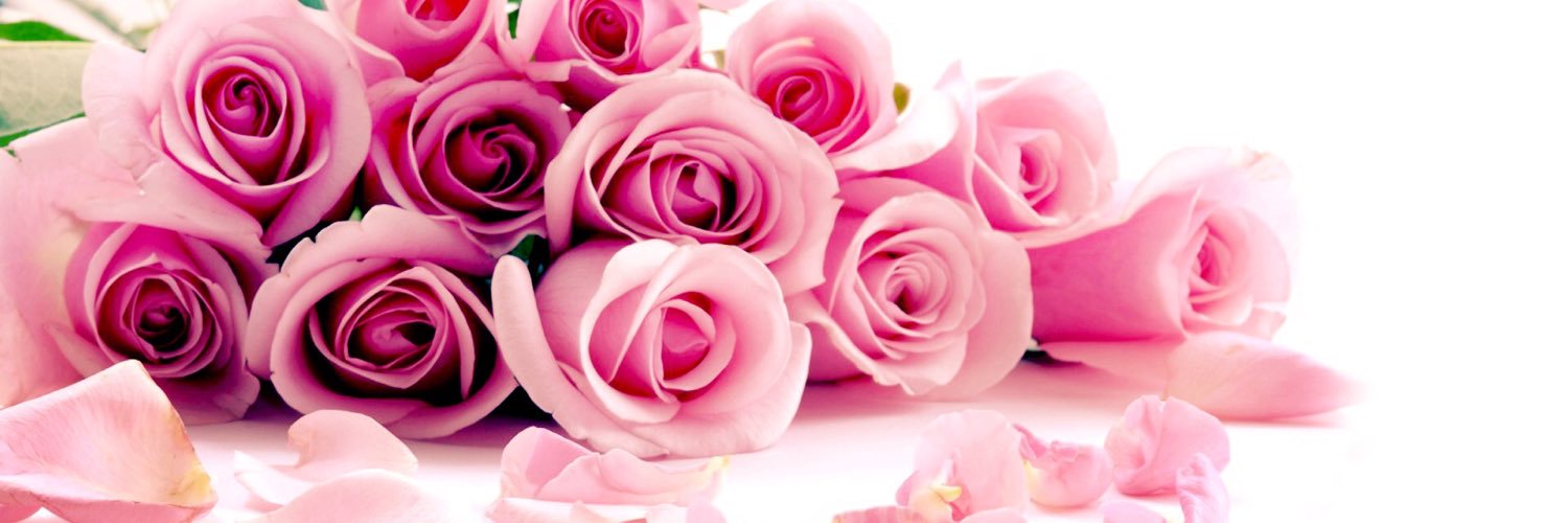 Lolh__a's profile banner image