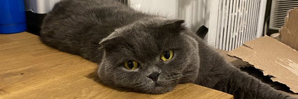 MikeNouveau Profile Banner