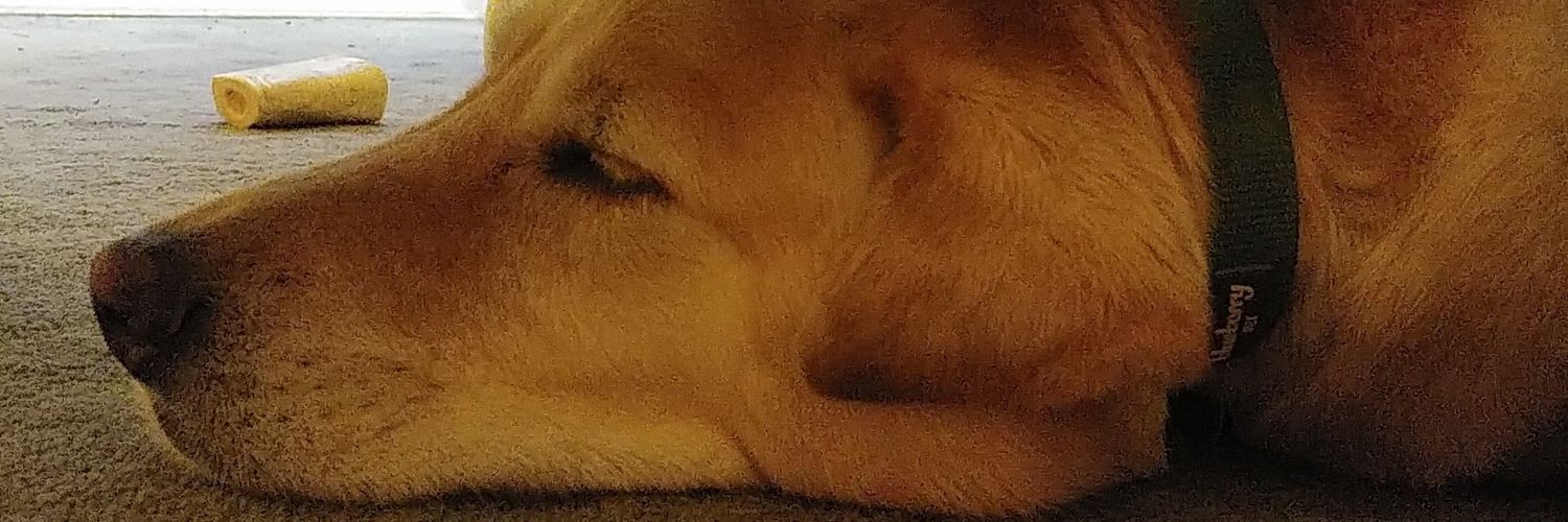 BrothersBrody's profile banner image
