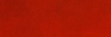 R__Leon's profile banner image