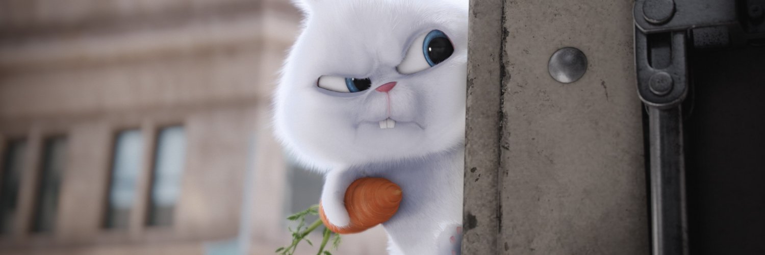 PoapB's profile banner image