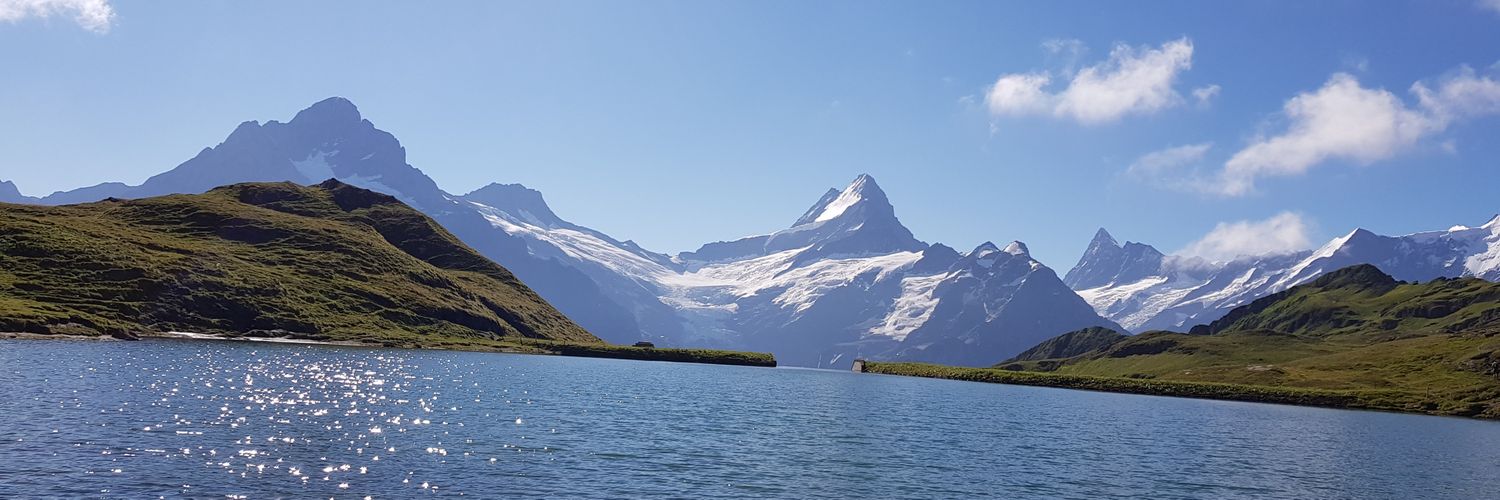 Kreacher_of_comfort banner