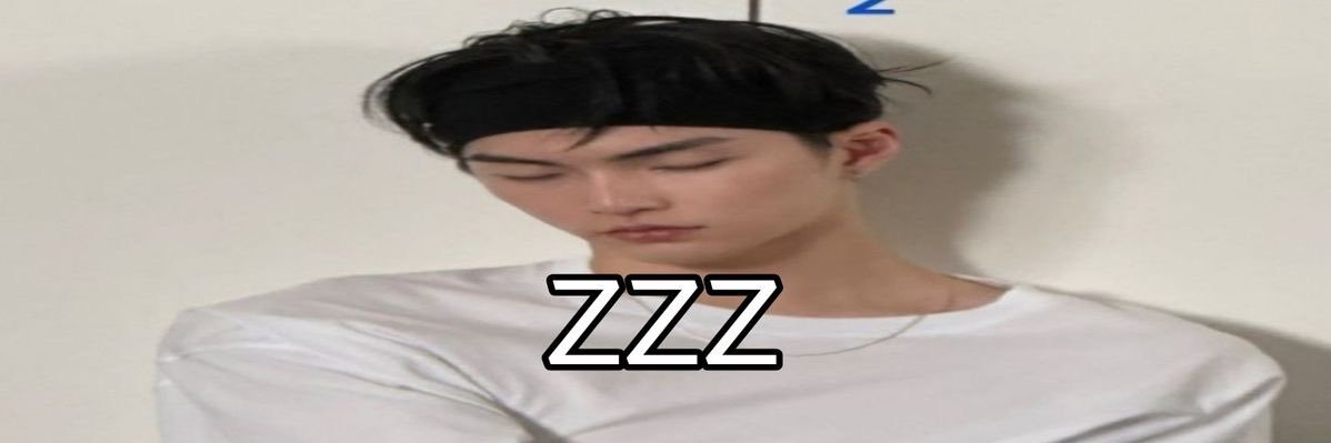 lexi 🐈‍⬛ banner