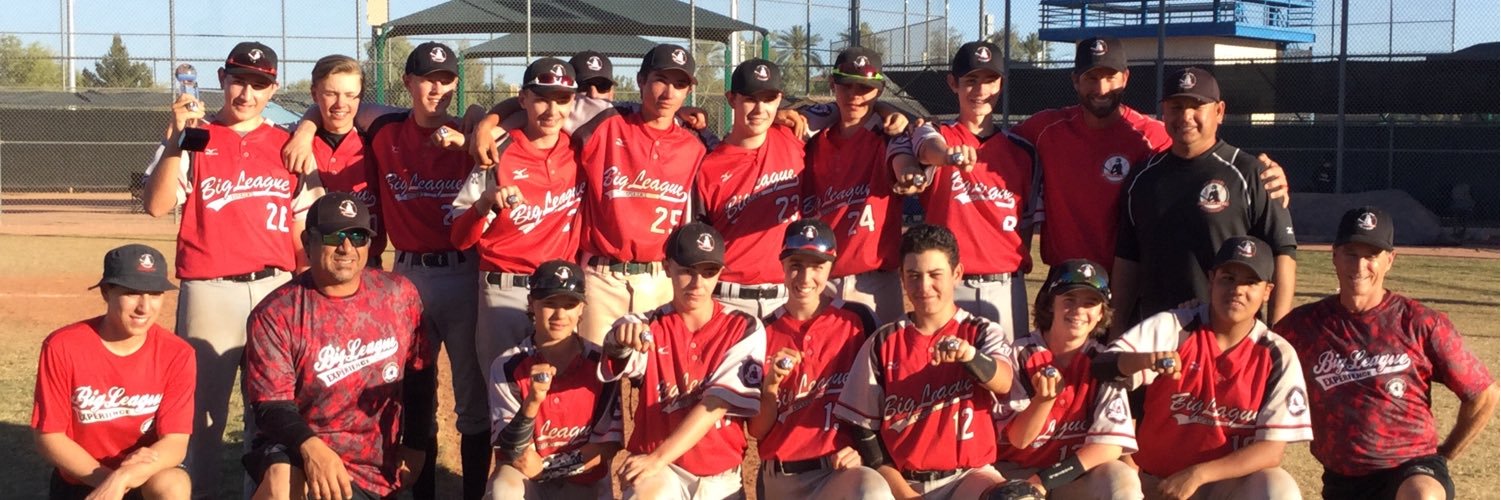 Big League Experience banner