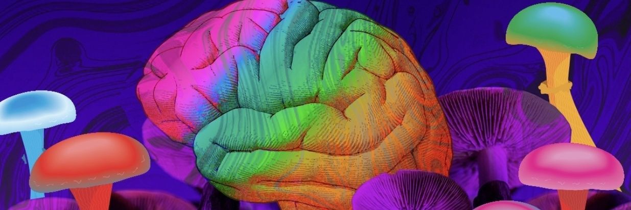 LowFloatTradez's profile banner image