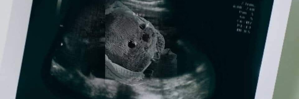 Bellbie banner