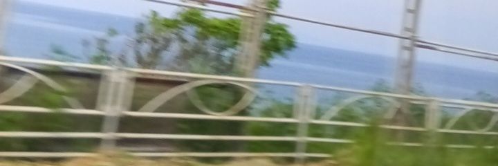 tamasora's profile banner image