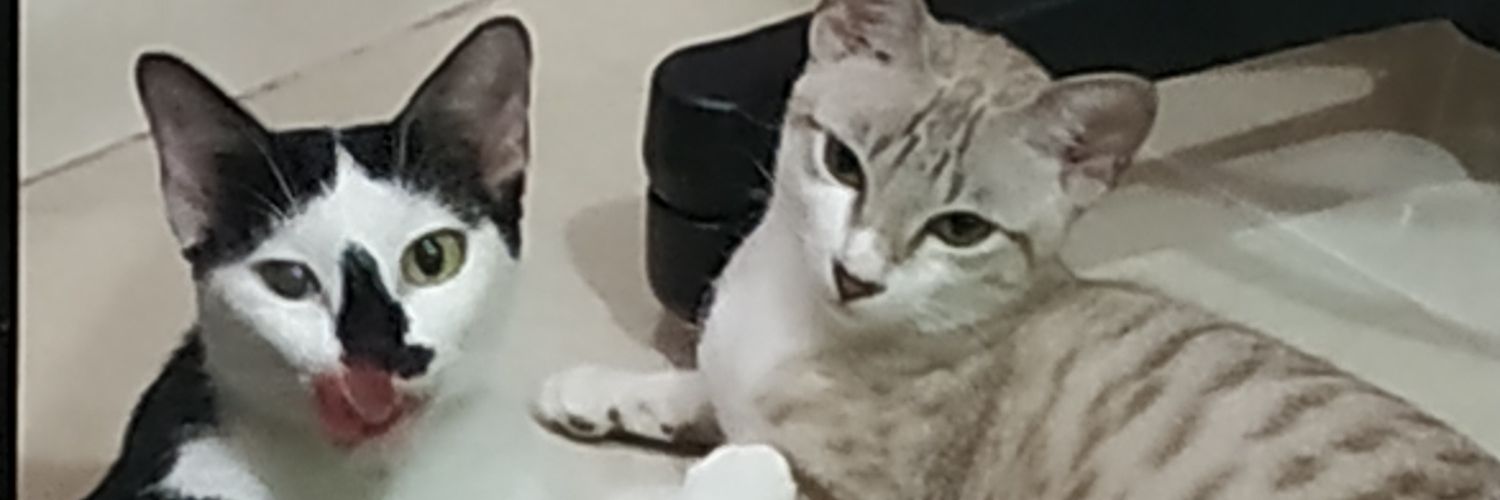 Queenzeze's profile banner image