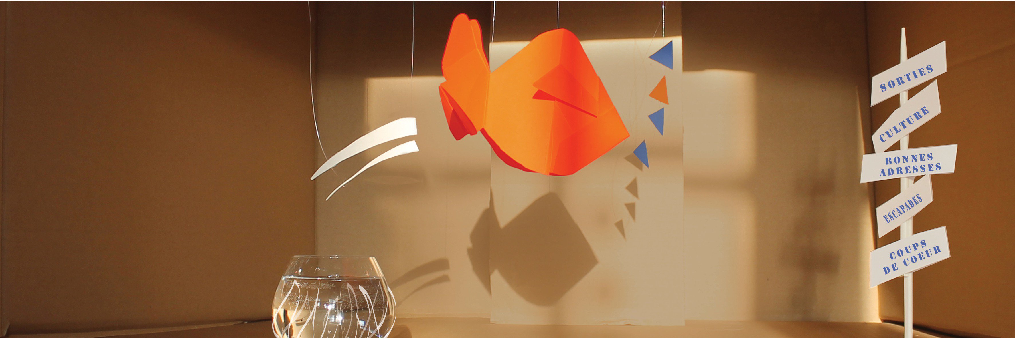 LepoissonMarcel's profile banner image