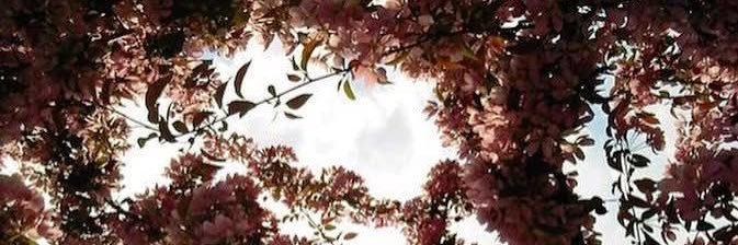 itsrichwoods's profile banner image