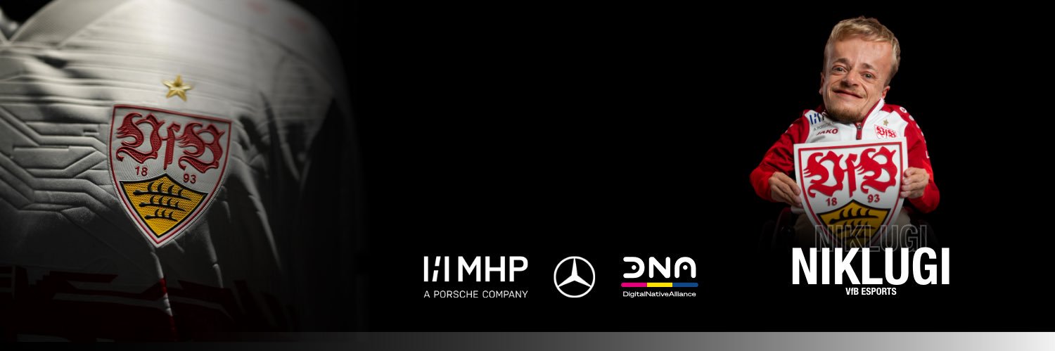 Niklas Luginsland banner