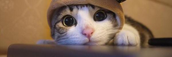 brendgr16's profile banner image