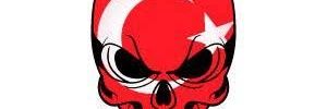 mer31685784's profile banner image