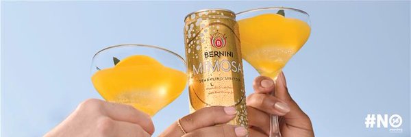 BerniniSA Profile Banner