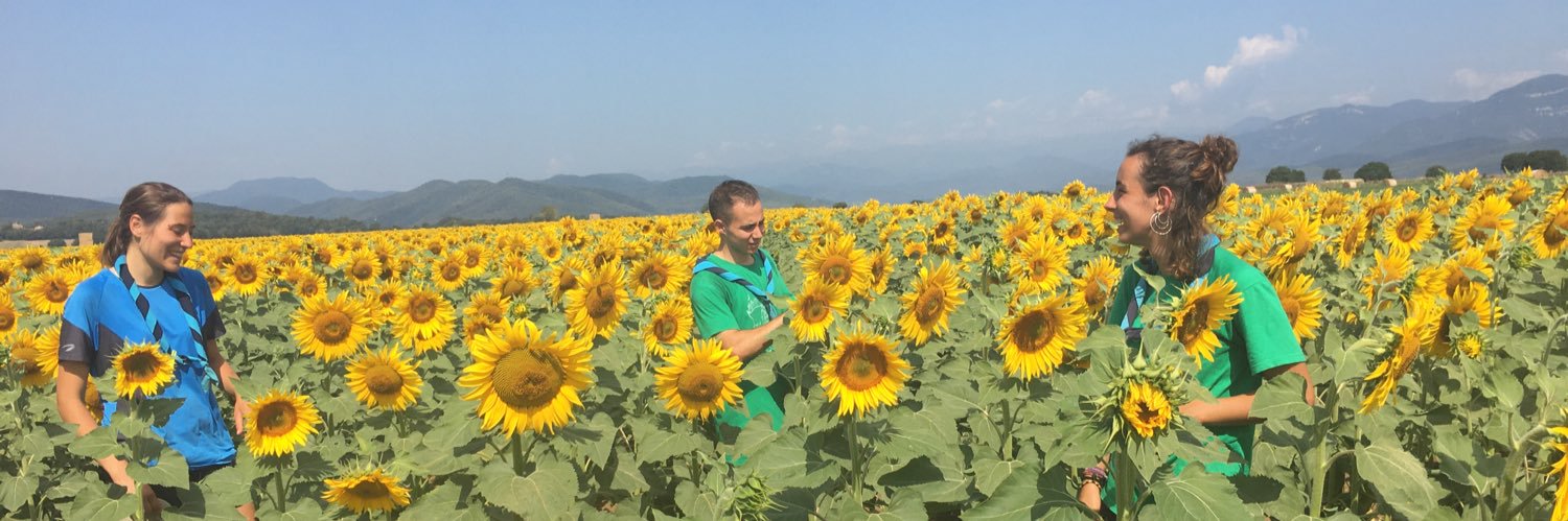 mireia_9's profile banner image