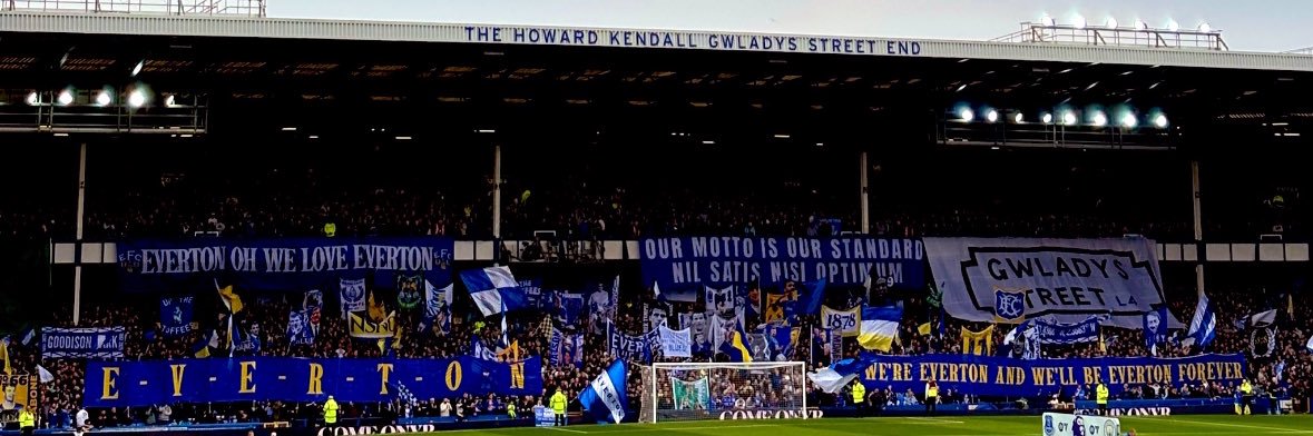 Damo 🥱 banner