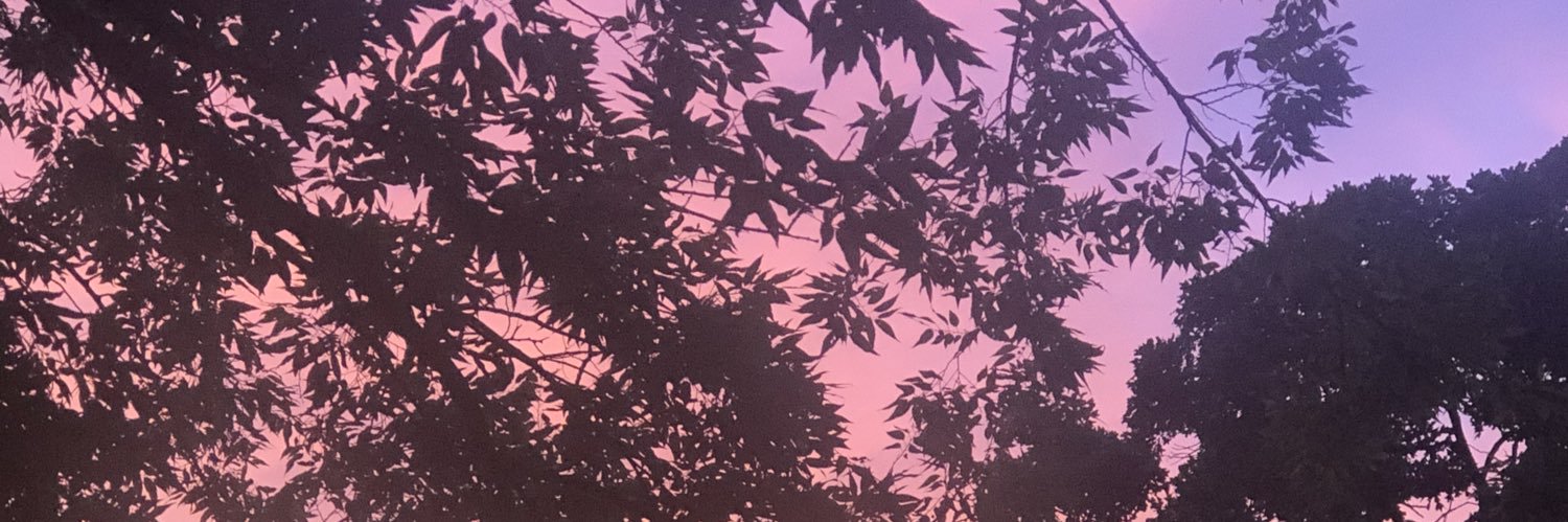VictoriaMaxineA's profile banner image