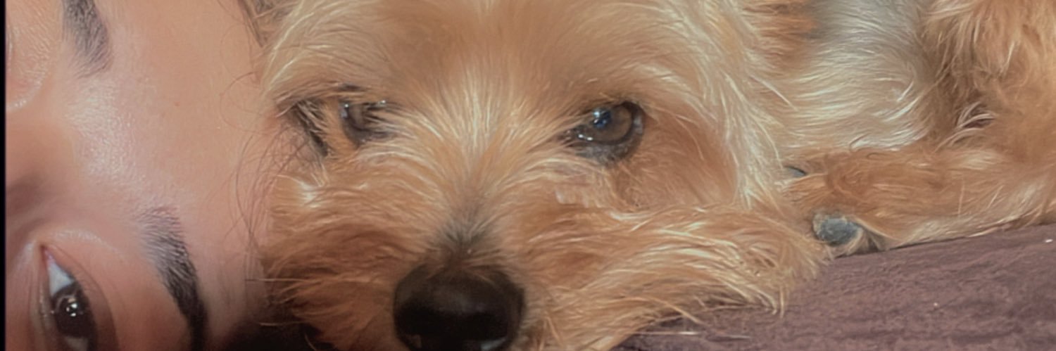 CamiDelgado2012's profile banner image
