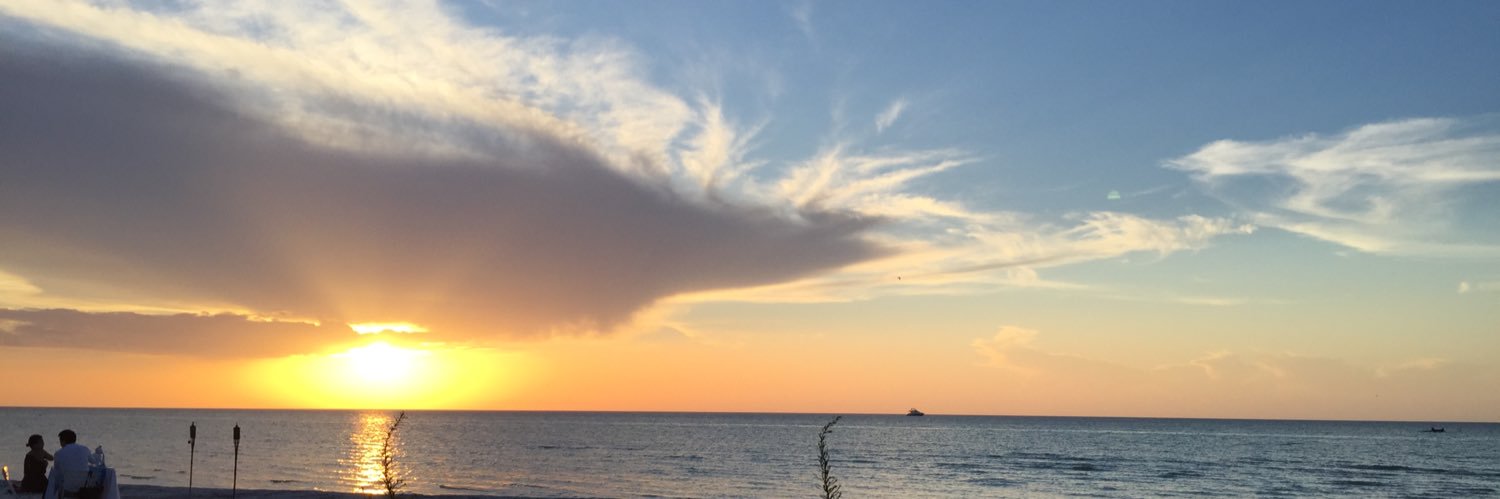 ZalaMichelle's profile banner image