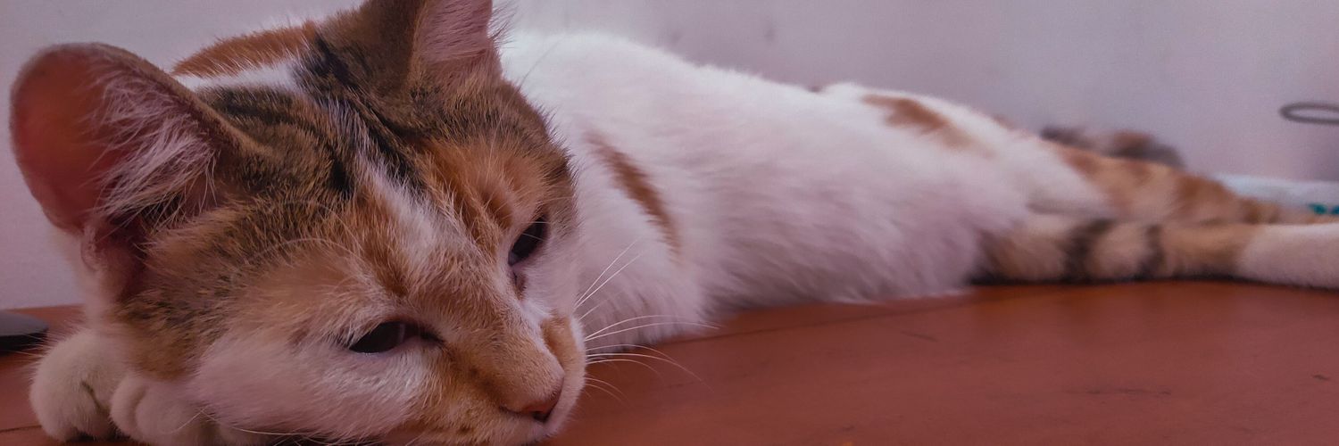 godinamongus's profile banner image