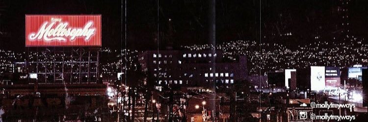 MollyTreyWays's profile banner image