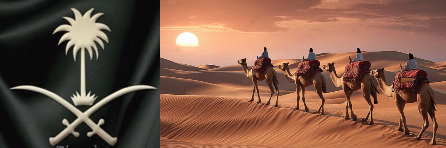 ziadalshareef12's profile banner image