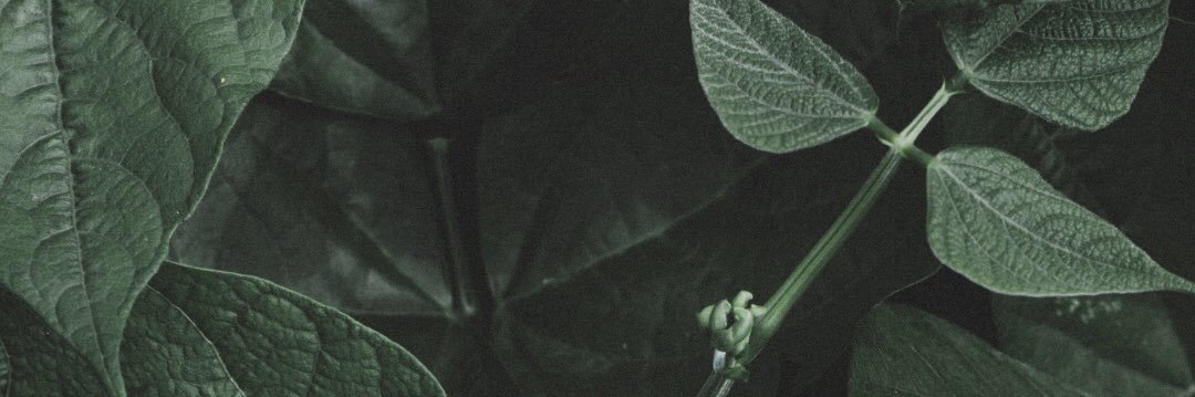SteelTempest1's profile banner image