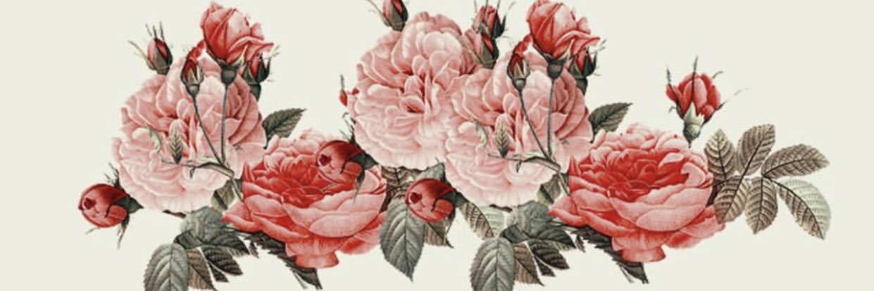 Kyliesthetic_'s profile banner image