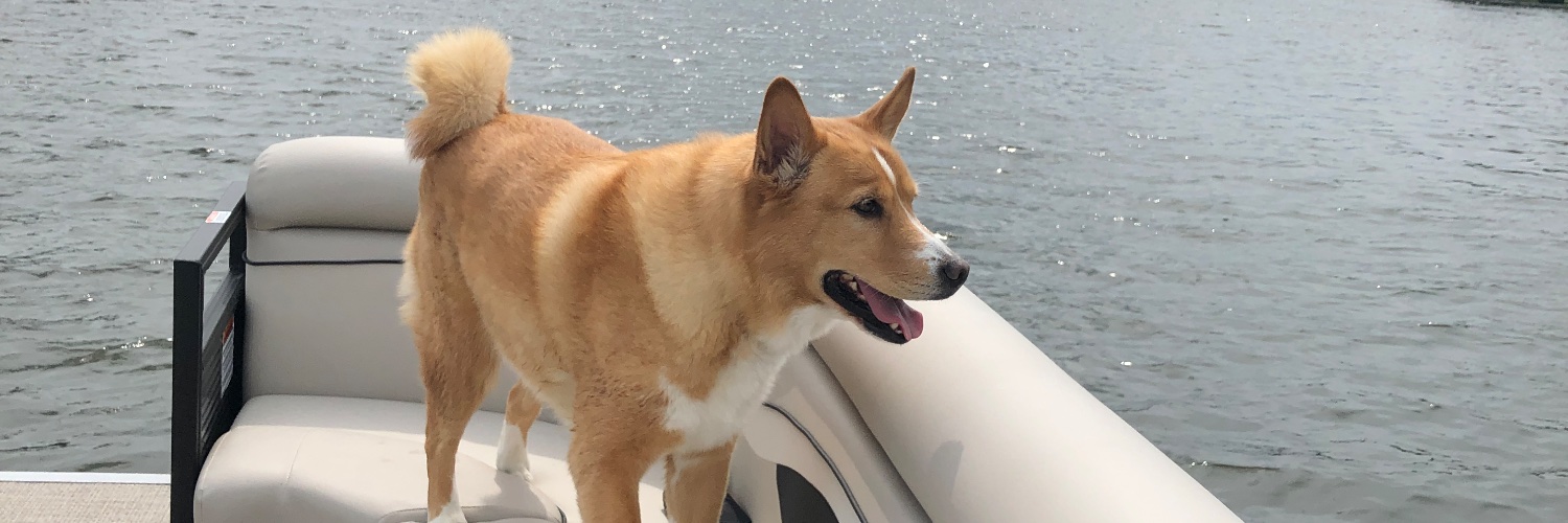 BurkeCamron's profile banner image