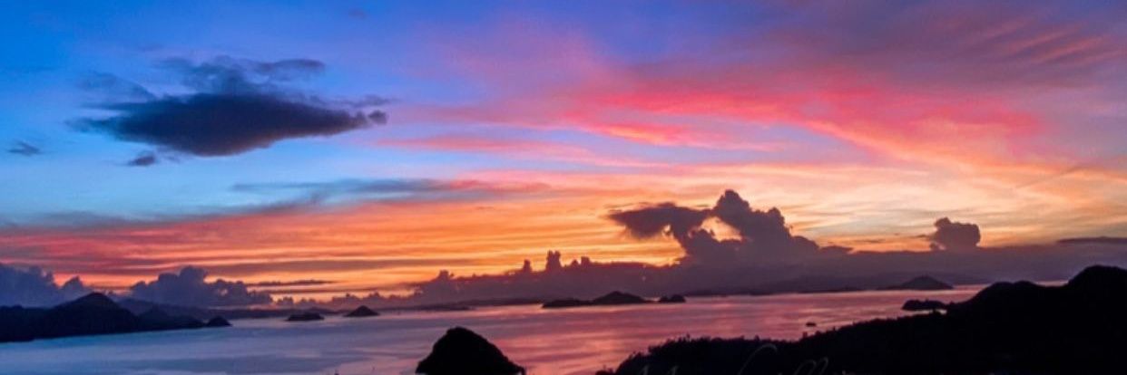 bing banner