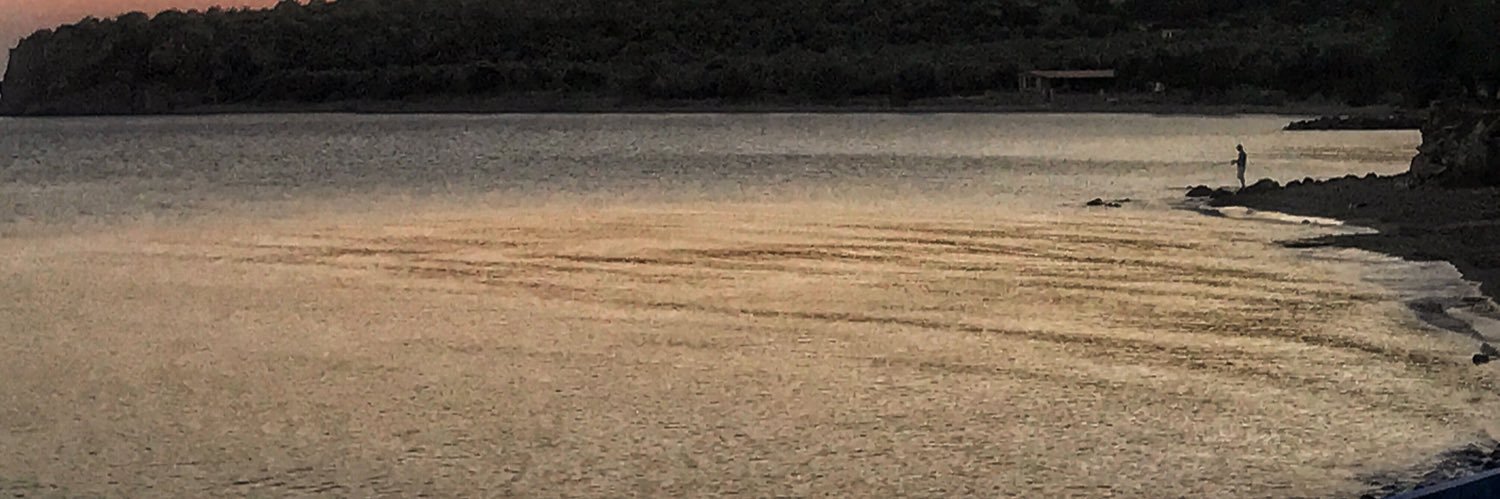 sedefhzli's profile banner image